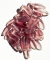 50 5x16mm Matte Transparent Light Amethyst Dagger Beads